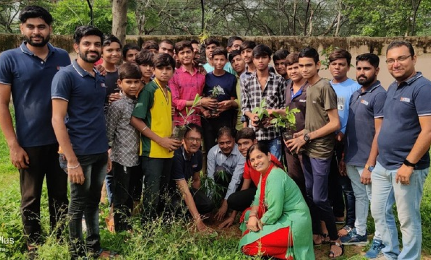 Tree Plantation