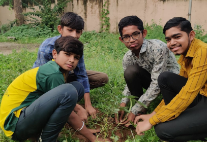 Tree Plantation