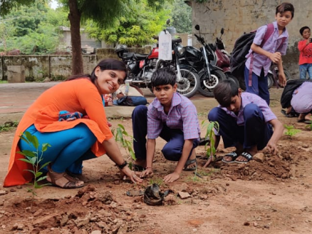 Tree Plantation