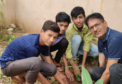 Tree Plantation