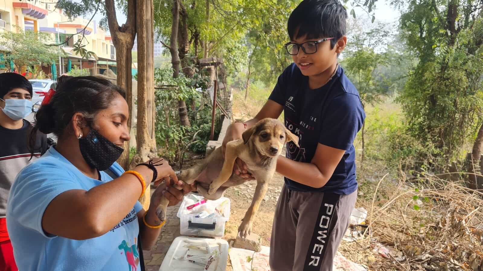 Tree Plantation